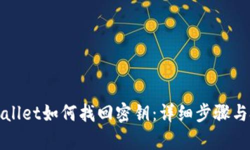 tpWallet如何找回密钥:详细步骤与技巧