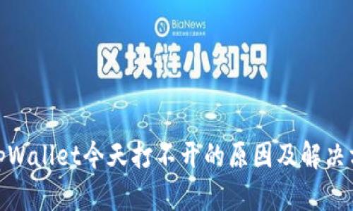 : tpWallet今天打不开的原因及解决方案