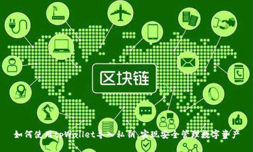 如何使用tpWallet导入私钥,实现安全管理数字资产