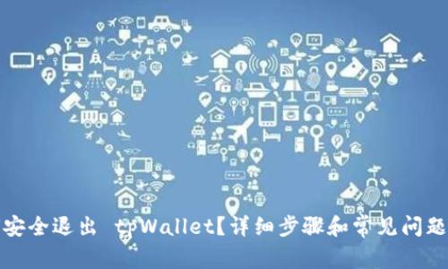 如何安全退出 tpWallet？详细步骤和常见问题解答