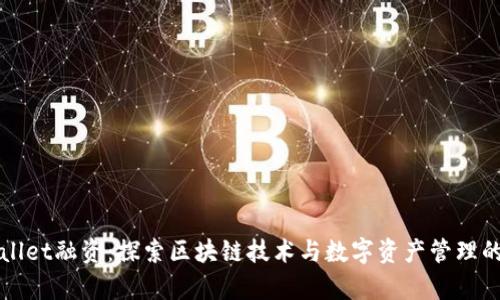 tpWallet融资:探索区块链技术与数字资产管理的未来