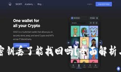 tpWallet密钥丢了能找回吗?全面解析与解决方案