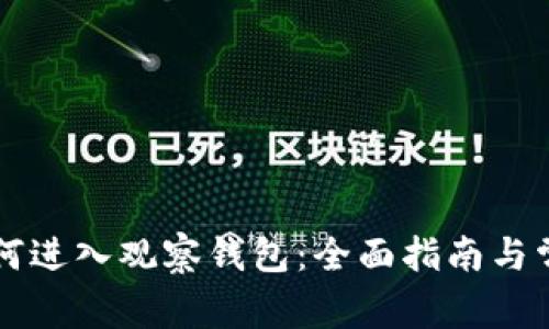 tpWallet如何进入观察钱包:全面指南与常见问题解答