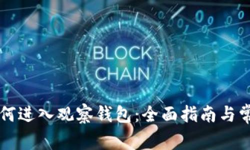 tpWallet如何进入观察钱包:全面指南与常见问题解答