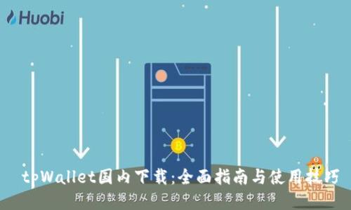 tpWallet国内下载:全面指南与使用技巧