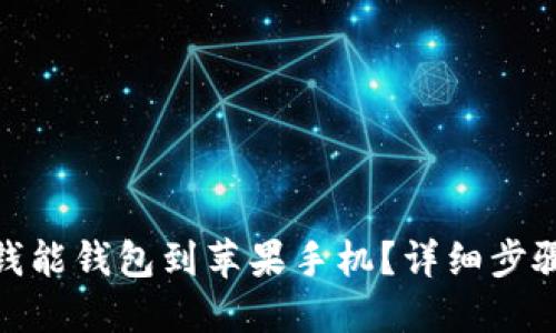 : 如何下载钱能钱包到苹果手机?详细步骤与使用技巧