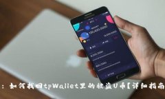 : 如何找回tpWallet里的被盗U币？详细指