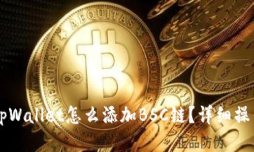 电脑tpWallet怎么添加BSC链?详细操作指南