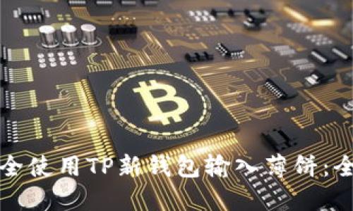 如何安全使用TP新钱包输入薄饼:全面指南