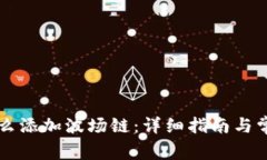 tpWallet怎么添加波场链：详细指南与常