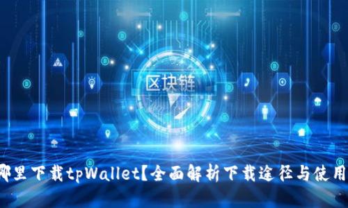 在哪里下载tpWallet?全面解析下载途径与使用指南