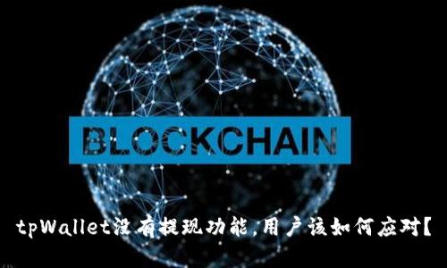 tpWallet没有提现功能,用户该如何应对?