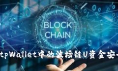如何将tpWallet中的波场链U资金安全转出