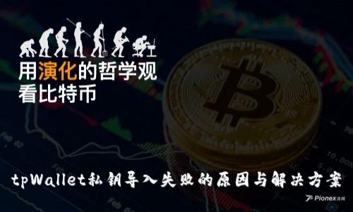 tpWallet私钥导入失败的原因与解决方案