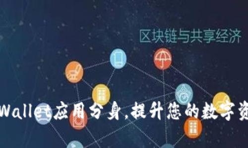 如何实现tpWallet应用分身,提升您的数字资产管理效率