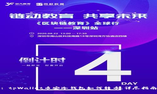 : tpWallet币安冷钱包如何转币:详尽指南