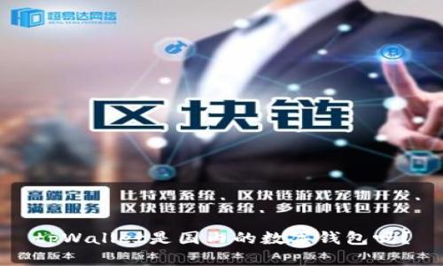 tpWallet是国内的数字钱包吗？