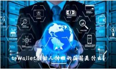 tpWallet创始人付盼的国籍是什么？