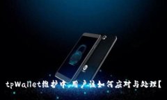 tpWallet维护中，用户该如何应对与处理