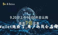 tpWallet跑路了，用户的钱会在哪儿？