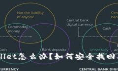 手机丢了tpWallet怎么办？如何安全找回