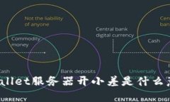 tpWallet服务器开小差是什么意思？