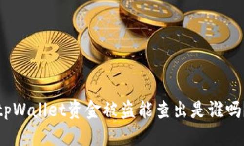 tpWallet资金被盗能查出是谁吗？