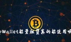 tpWallet能量租赁真的能使用吗？