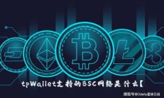 tpWallet支持的BSC网络是什么？