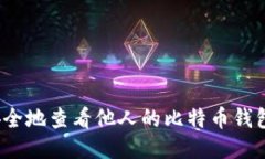 如何安全地查看他人的比特币钱包信息？