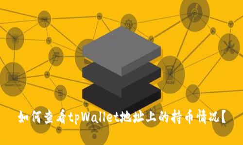 如何查看tpWallet地址上的持币情况？