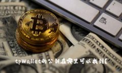 tpWallet的公钥在哪里可以找到？