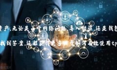 导入tpWallet资产没有了的问题可能让很