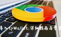 如何将币导入tpWallet：详细指南与常见
