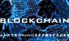 国内如何下载tpWallet？简单步骤与常见