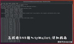 怎样将BNB转入tpWallet：详细指南