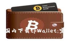 如何在国内下载tpWallet：完整指南