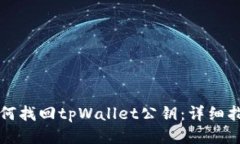 如何找回tpWallet公钥：详细指南