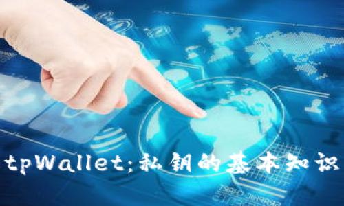 : 深入了解tpWallet：私钥的基本知识及其重要性