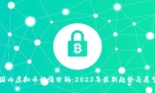国内虚拟币行情分析：2023年最新趋势与展望
