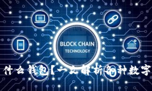 数字货币使用什么钱包？一文解析各种数字货币钱包类型