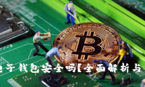 比特币电子钱包安全吗？全面解析与用户指南
