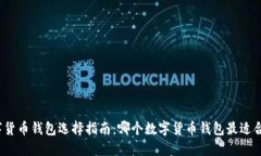 数字货币钱包选择指南：哪个数字货币
