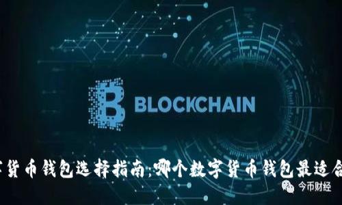 数字货币钱包选择指南：哪个数字货币钱包最适合你？