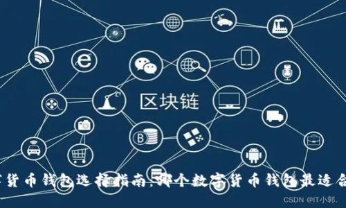 数字货币钱包选择指南：哪个数字货币钱包最适合你？